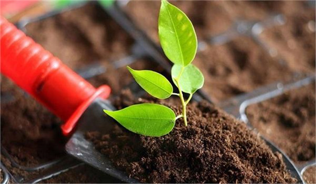 美国撤离时遗留了多少财富？越南“吃”了近50年现在竟还有余粮(图1)