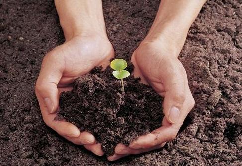 大年初五省委书记、省长与民营企业家餐叙：这些座上宾自带绿色含金量(图1)