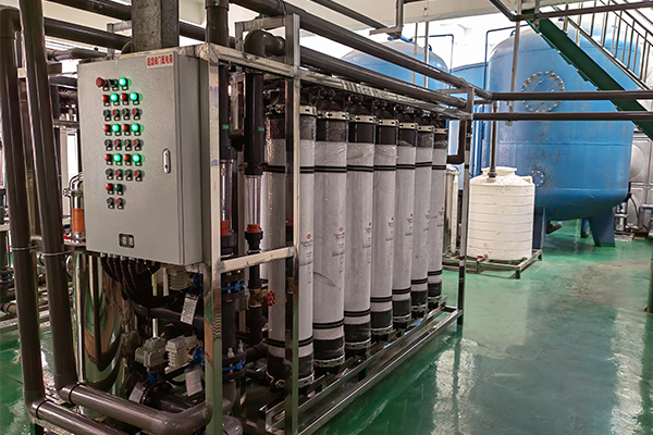 新春走基层）浙江高校党外代表人士筑梦绿水青山间 以科技赋能乡村共富(图1)