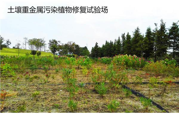 2026年中国节水灌溉行业技术创新与产业链分析洞察(图1)