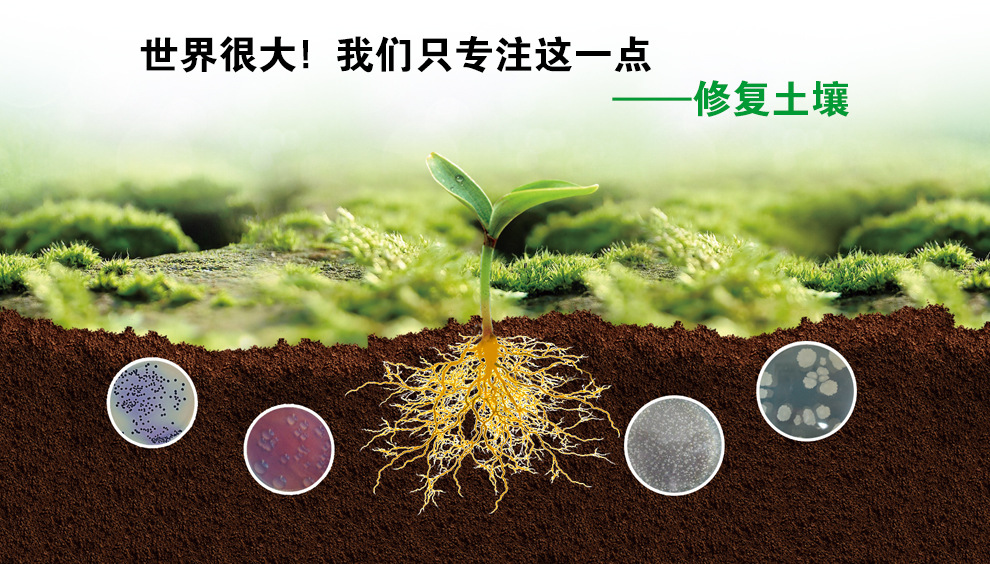 土壤环境将迎更严格科学监管(图1)