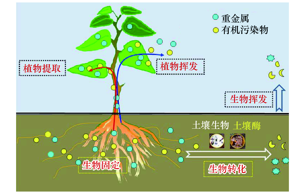 定调2026！张家口大会干货满满：薯业经营要“活下来、赚到钱”！(图1)