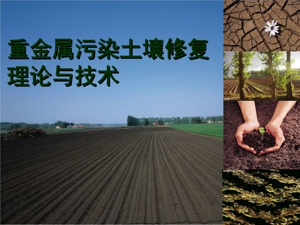 园林生态简讯----棕地治理(图1)