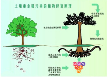 答记者问生态环境部生态环境监测司有关负责人就《监测“十五五”规划》答记者问(图1)